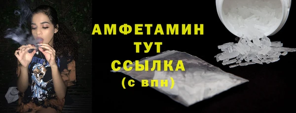 молекула духа Бородино