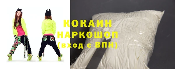 молекула духа Бородино