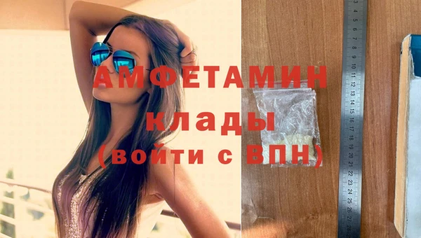 молекула духа Бородино