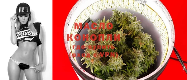 индика Богданович