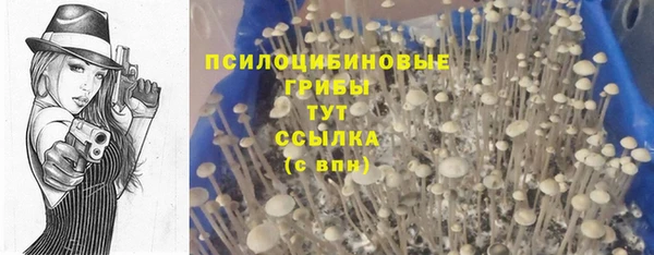 молекула духа Бородино