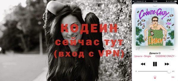молекула духа Бородино