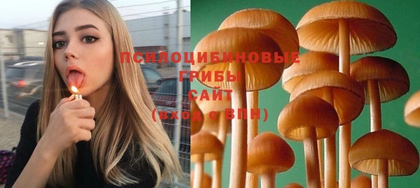 молекула духа Бородино